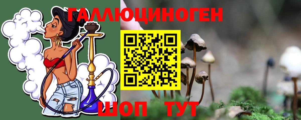 Псилоцибиновые грибы Psilocybe  хочу наркоту  Псилоцибиновые грибы мицелий  Богданович  Вход с VPN 